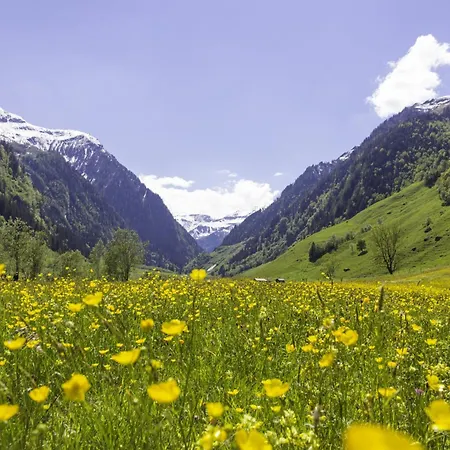 Hochalmbahnen Chalets 1-03, Alpenrose, Nahe Gondel, Hunde Willkommen *