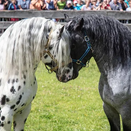 Dom wakacyjny Hochalmbahnen 1-03, Alpenrose, Nahe Gondel, Hunde Willkommen