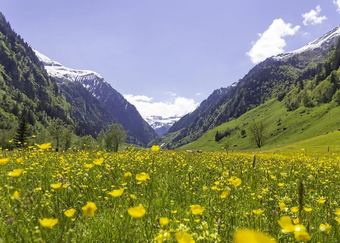 Hochalmbahnen Chalets 1c *